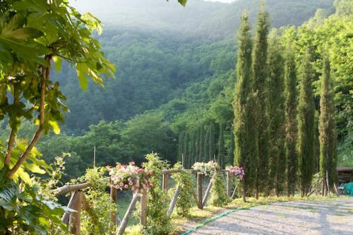 Vila Ferchia Lucca Exteriér fotografie